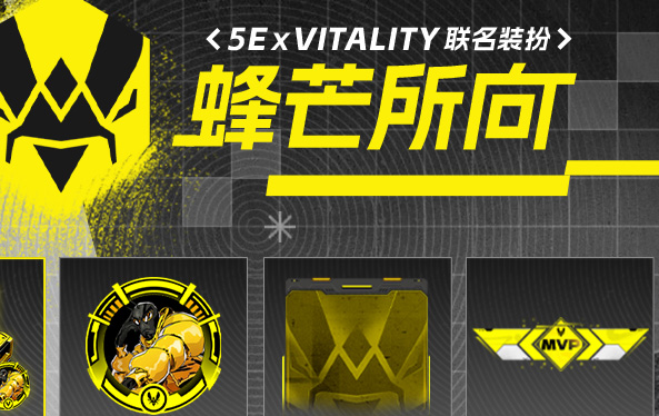 蜂芒所向！Vitality布達佩斯Major傳奇組征程全解析，Zyw